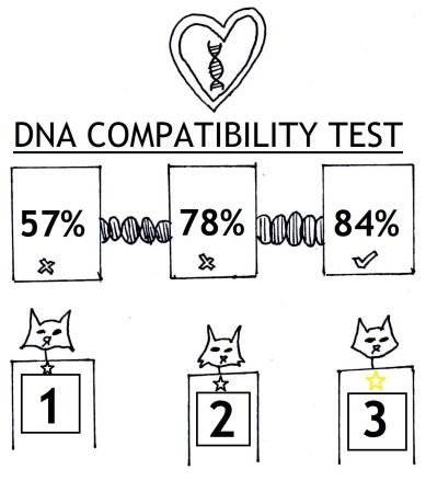 Cats DNA dating